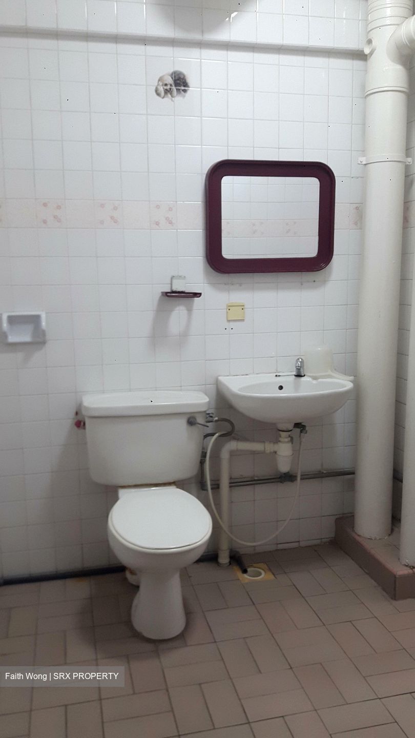 Blk 53 Pipit Road (Geylang), HDB Executive #352601631
